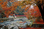 秋の武田尾渓谷