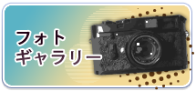 フォトギャラリー