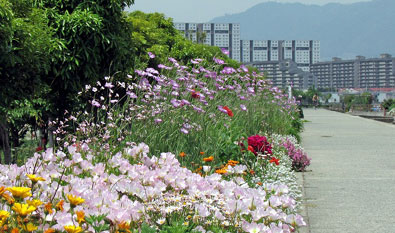 ２０１３年５月２３日
