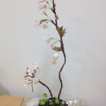 創芸草花
