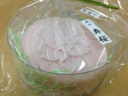 夙川舞桜 夙川舞桜