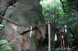 いろいろな風景