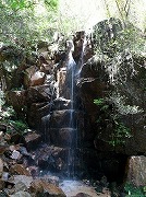 鷲林寺の秘滝