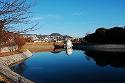 冬凪（ふゆなぎ）のニテコ池