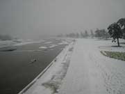 降雪の武庫川