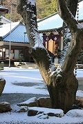鷲林寺の雪化粧