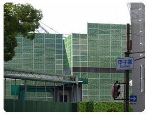 ツタが取り除かれた甲子園球場は、外壁工事のための防音パネルで囲われた。  　防音パネルはもちろん緑のツタ柄だった。 
