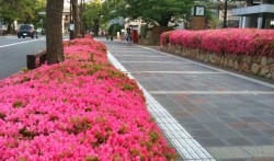 ２０１２年５月１１日