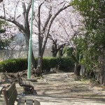 毘沙門公園