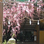越木岩神社