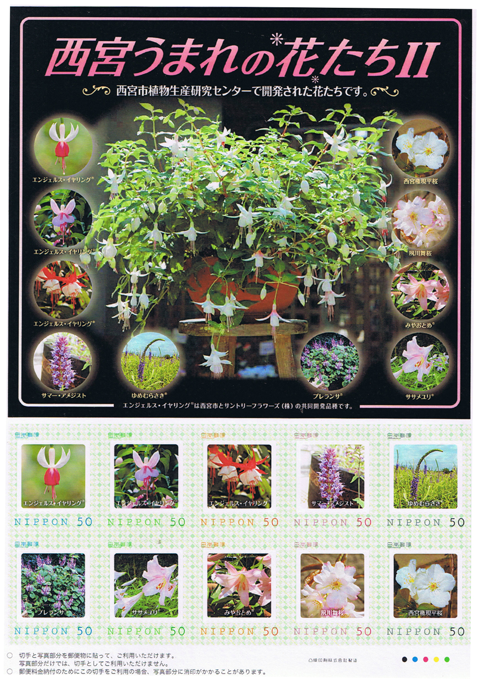 「西宮うまれの花たちⅡ」切手シートプレゼント