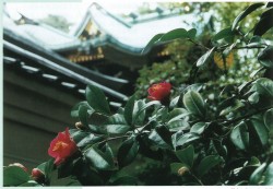 写真提供：越木岩神社