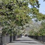 夙川公園
