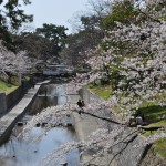 夙川公園