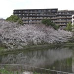 片鉾池