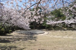 森林公園