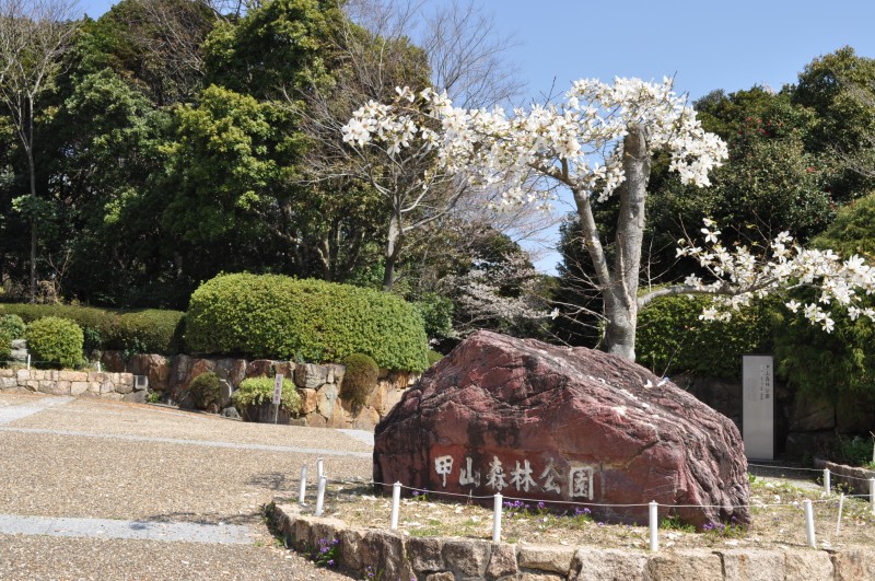 森林公園