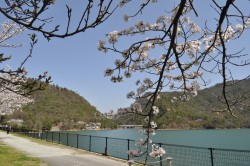金仙寺湖