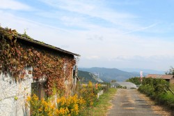 船坂