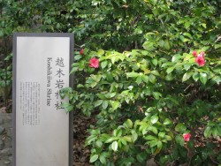 越木岩神社
