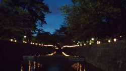 2014夙川千本灯火