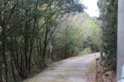 丸山浄水場