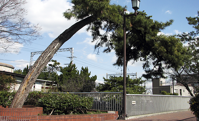 夙川公園