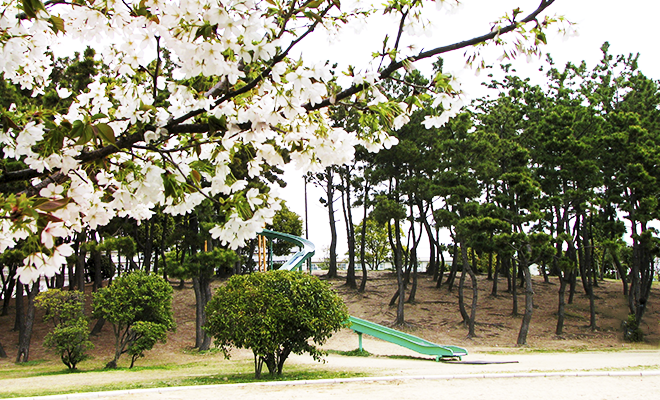 甲子園浜海浜公園