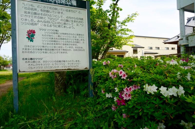 名来公園