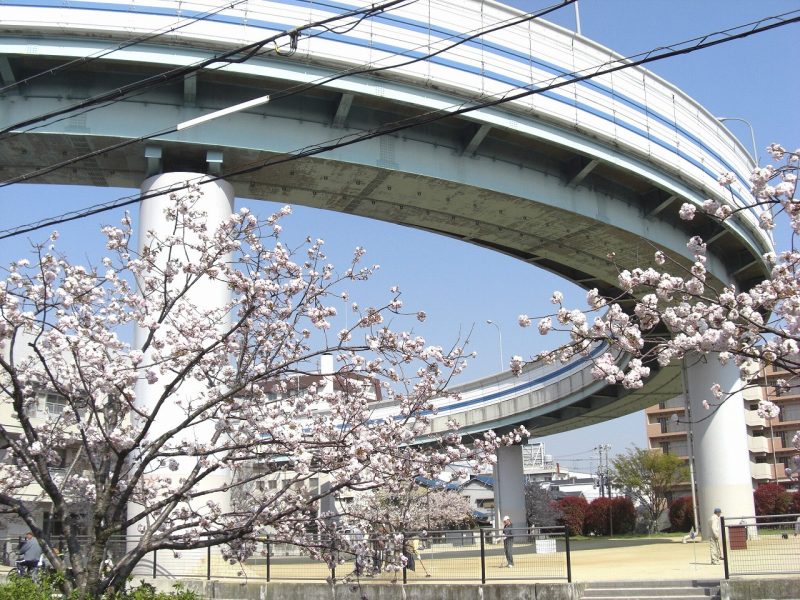 桜　阪神高速武庫川ランプ