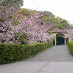 神戸女学院