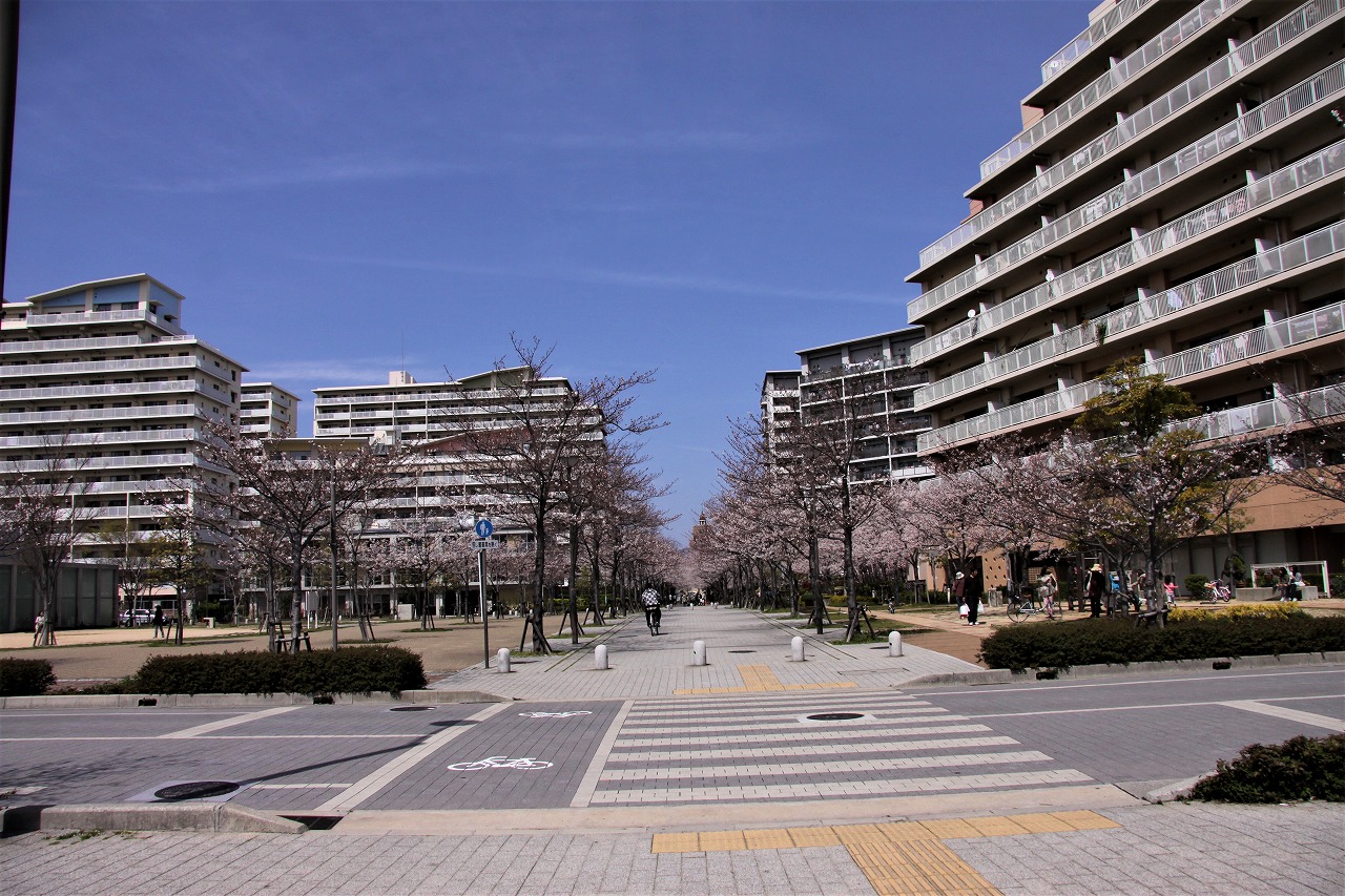 桜　西宮浜