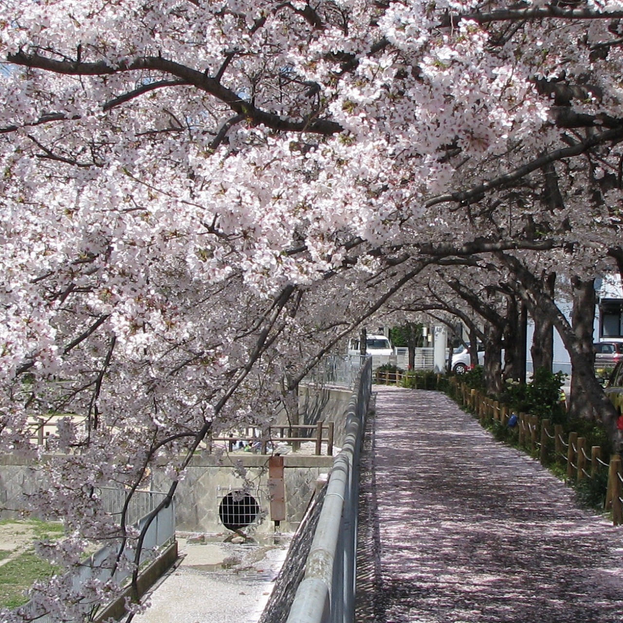 皿池公園