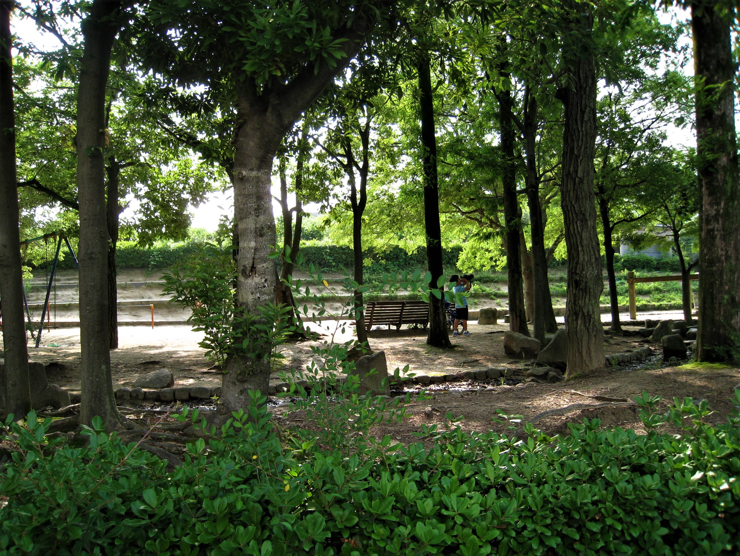 0623　樋之池公園