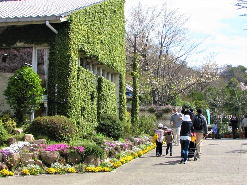 北山 緑化 植物園