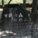 市民の森　鳴尾浜臨海公園北