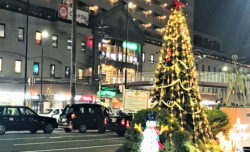 夙川駅前のクリスマスツリー