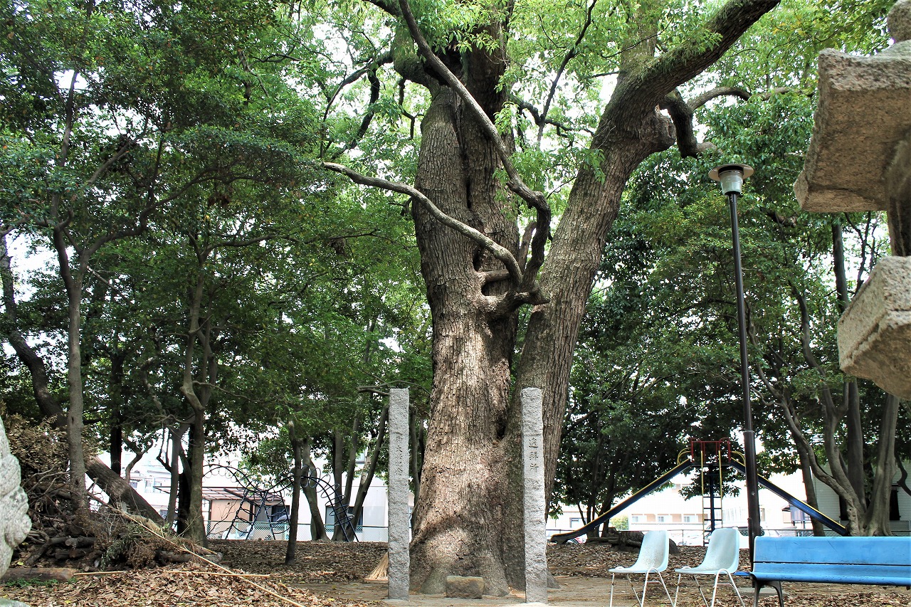 瓦木厳島神社　0524