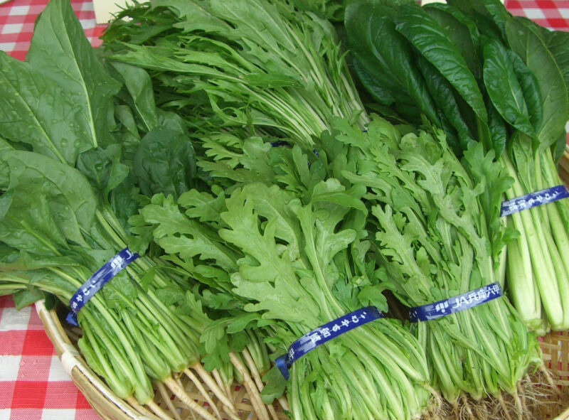 小松菜、ほうれん草、シロ菜、水菜・・・西宮は葉物野菜の産地