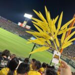 甲子園球場