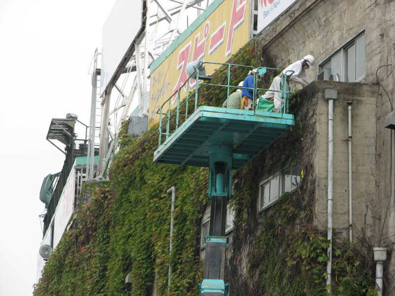 甲子園球場