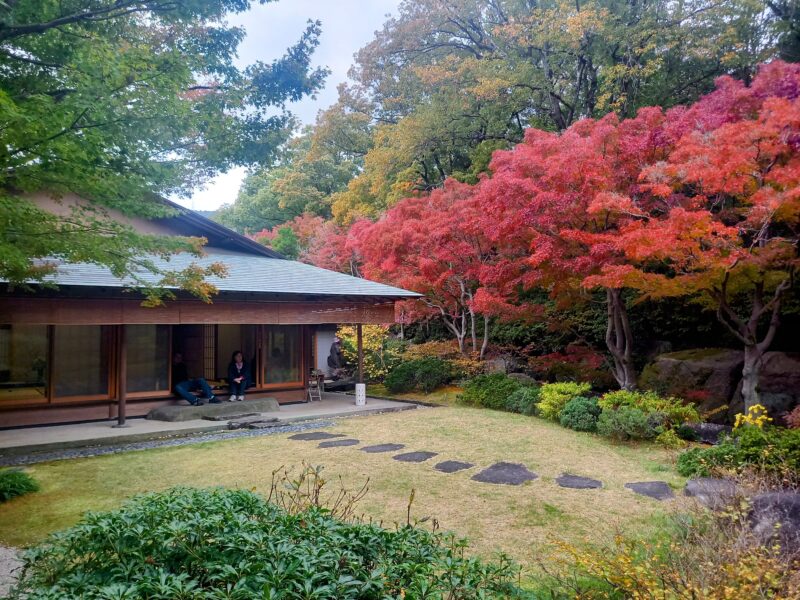 北山緑化植物園