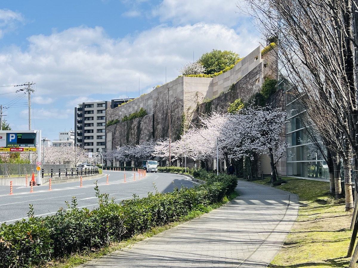 阪急西宮ガーデンズ　さくら