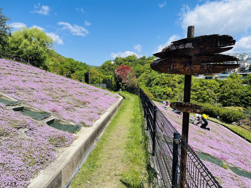 地すべり資料館　ゆりのガーデン