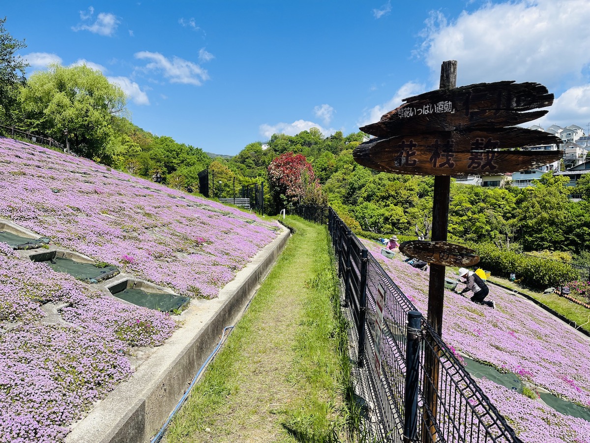 地すべり資料館　ゆりのガーデン