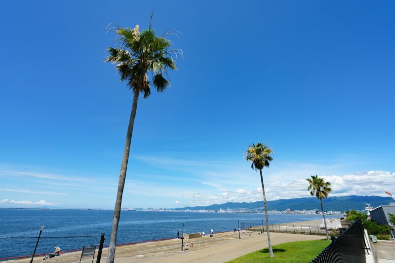 鳴尾浜臨海公園（海釣り広場付近）