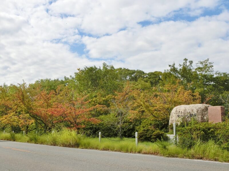 兵庫県 桜堤回廊碑