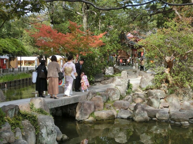 もみじ 紅葉 七五三