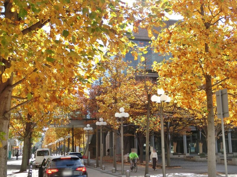 芸術文化センター横