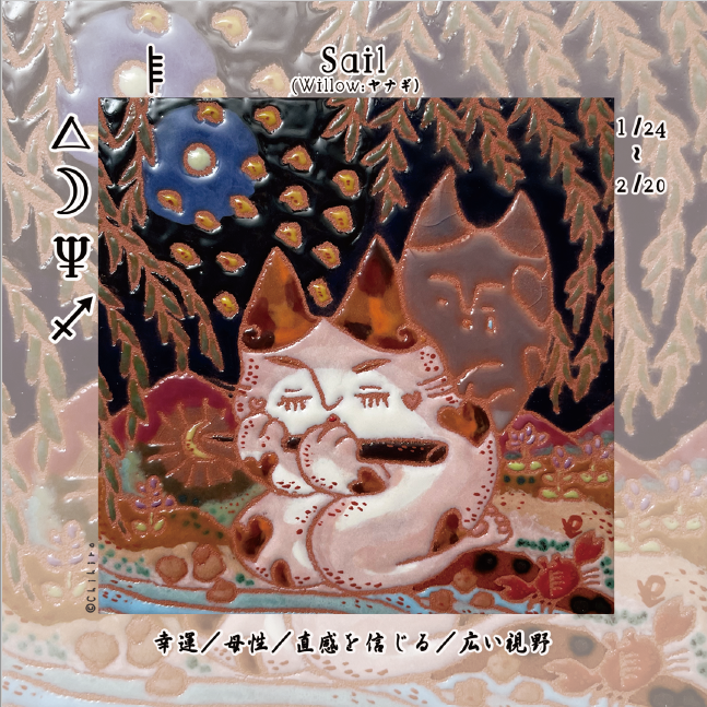 オガムオラクルカード2025年12月のアドバイス